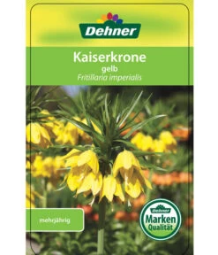 Kaiserkrone -Geschäft Für Pflanzensamenbedarf 8664674 KaiserkroneLutea Etikett 01