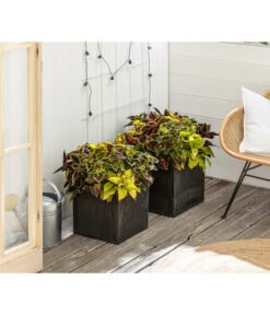 Beet- & Balkonpflanzen-Set Farbexplosion, 6-teilig -Geschäft Für Pflanzensamenbedarf 8800567 PR MO 001 Beet Balkon SetBuntnessel