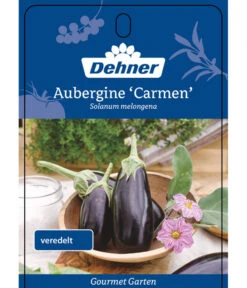 Dehner Gourmet Garten Aubergine, Veredelt 10 Dehner Gourmet Garten Aubergine, Veredelt -Geschäft Für Pflanzensamenbedarf 8830051 GGAubergineCarmen Etikett 1
