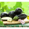 Dehner Gourmet Garten Aubergine, Veredelt 1 Dehner Gourmet Garten Aubergine, Veredelt -Geschäft Für Pflanzensamenbedarf 8830051 PR MO 001 GG AUBERGINE CARMEN