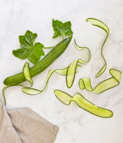 Bioland Gurke, Veredelt 11 Bioland Gurke, Veredelt -Geschäft Für Pflanzensamenbedarf 8830853 WE MO 001 SchlangengurkeveredeltRenner