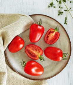 Bioland Eiertomate -Geschäft Für Pflanzensamenbedarf 8831463 WE MO 001 BiolandEiertomate