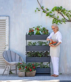 Pick-a-Tom® Cocktailtomate Mit Früchten, Rot 8 Pick-a-Tom® Cocktailtomate Mit Früchten, Rot -Geschäft Für Pflanzensamenbedarf 8838757 WE MO 001 HechtHochbeetCube4PickaTom