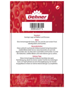 Erdbeere 'Delizz' 9 Erdbeere 'Delizz' -Geschäft Für Pflanzensamenbedarf 8840274 ErdbeereDelizzImmertragend Etikett 2