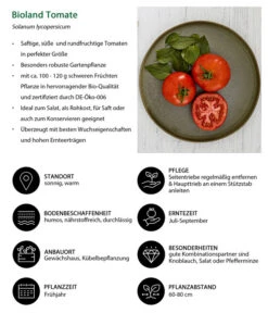 Bioland Tomate, Rundfruchtig -Geschäft Für Pflanzensamenbedarf 8842619 WE IG 001 BiolandTomate