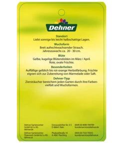 Kornelkirsche - Cornus Mas -Geschäft Für Pflanzensamenbedarf KornelkirscheCornusmas Etikett 2